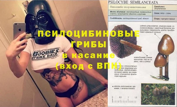мескалин Армянск