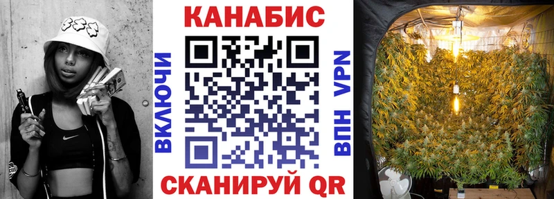 Конопля Bruce Banner Рассказово